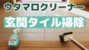 【玄関タイル掃除】ウタマロクリーナーでピカピカ！【動画あり】